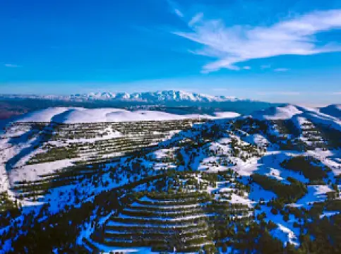 Riserva naturale dei cedri dello Shuf