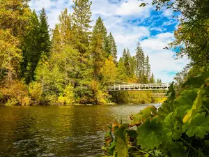 Sims Flat Campground