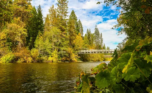 Sims Flat Campground
