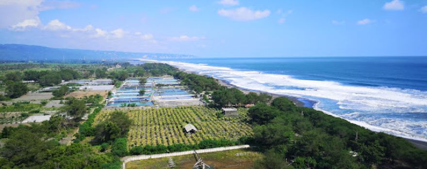 Mercusuar Pantai Pandansari