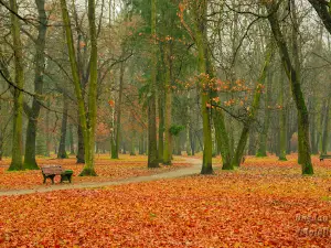 West Park