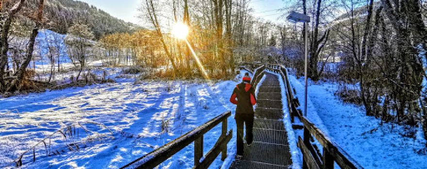 Panoramaweg Wildschönau