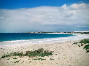 Sandboarding Lancelin