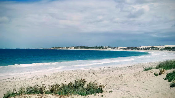 Sandboarding Lancelin