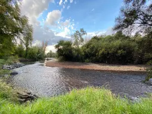 Rotary Pioneer Park