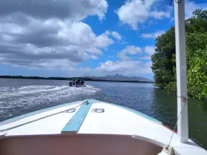 Parque Nacional Laguna de La Restinga