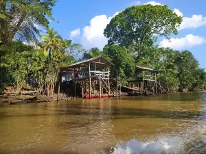 Guamá River