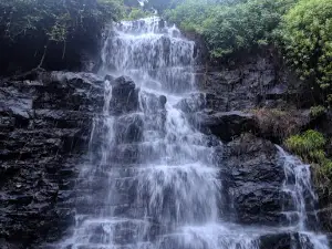 Paloor Kotta Waterfalls