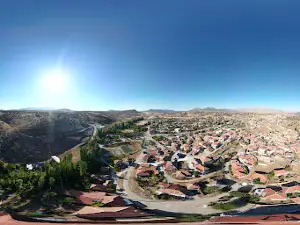 Anıt Ağaçlar / Ardıç Ağacı