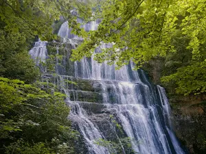 House Cascades