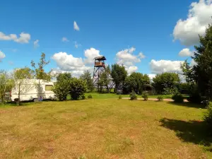 Biebrzańskie Safari