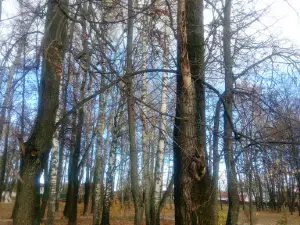 Городской Парк