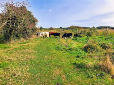 Redgrave and Lopham Fen