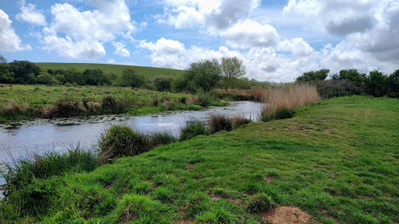 Brading Down Local Nature Reserve