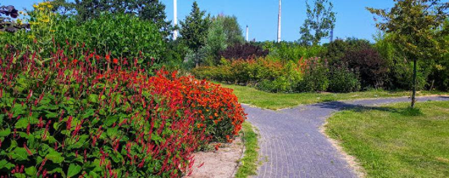 arboretum Hoogvliet