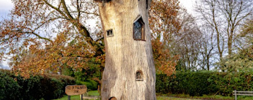 Tree Of Imagination