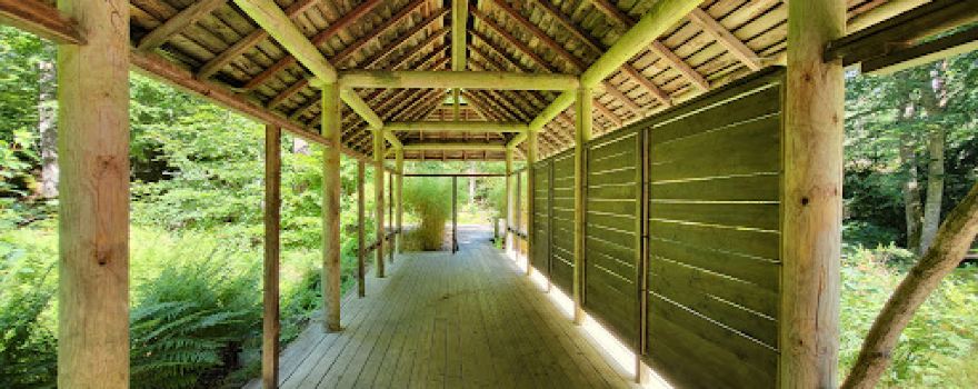 The Japanese Garden