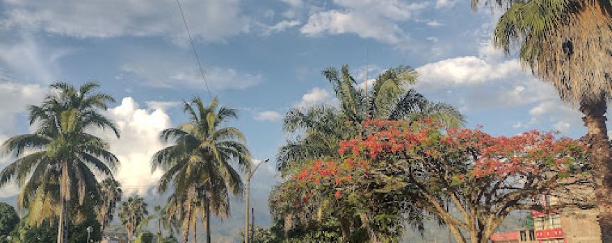 Distrito Santa Rosa, La Mar - Ayacucho