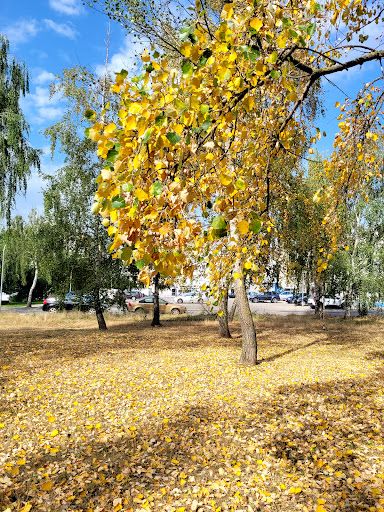 City Park - Southern Podolszyce
