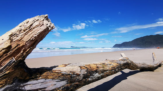 Royal Billy Point
