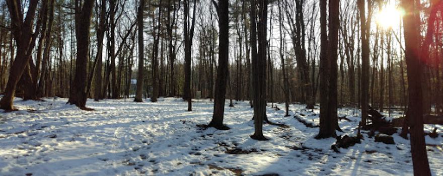 Smash Park Disc Golf Course