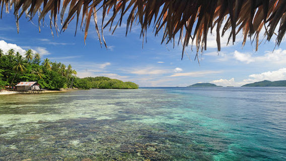 Sawing Rey Raja Ampat