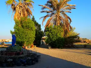 Moon Beach