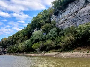 ターキー・バイユー