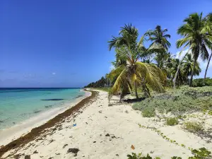 Playa El Toro