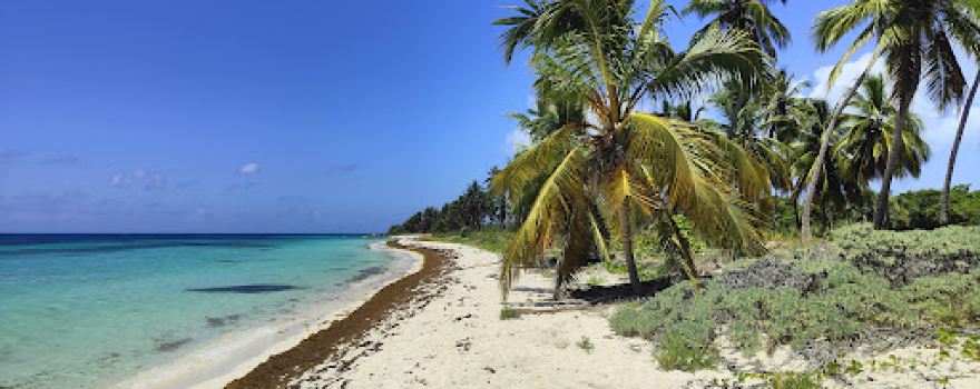 Playa El Toro