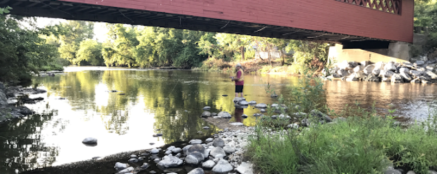 Green Mountain Angler