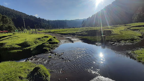 Ecoturistico La Ciénega Park
