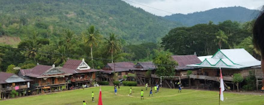 Lapangan sepak bola Rogo