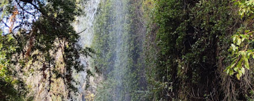 Cave of the Pincheira