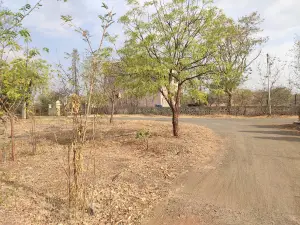 Green City Park , Lawns, Mangal Karyala, Agrotourism, Madha