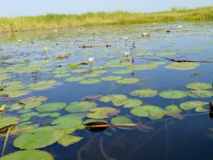 Ez Zeraf Game Reserve