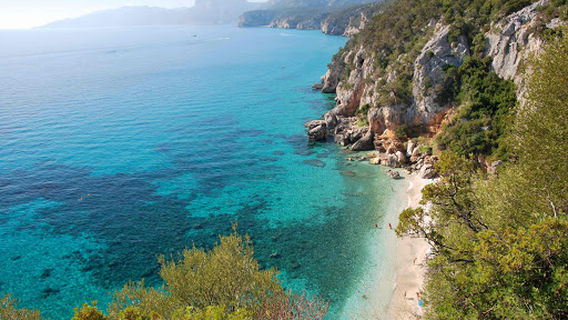 Protec Sardinia A.S.D