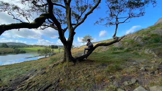 Dalsnuten Hike
