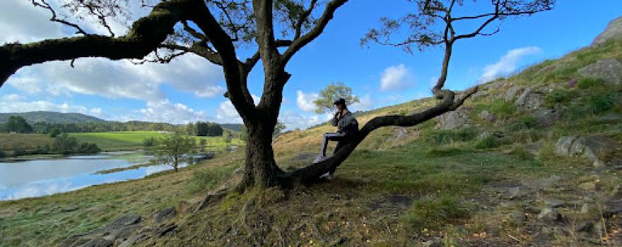 Dalsnuten Hike