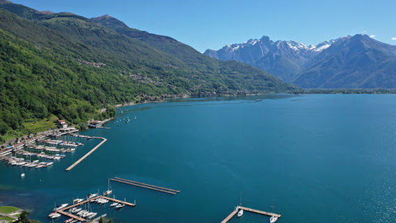 CAMPING Golden Sheep