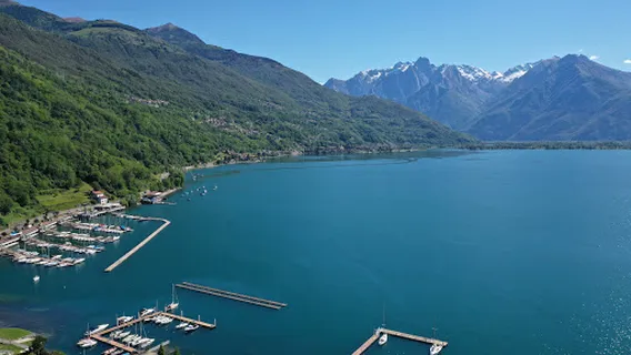 CAMPING Golden Sheep