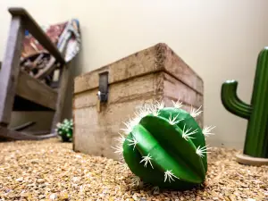 Escapetown Peoria-Escape Room Games