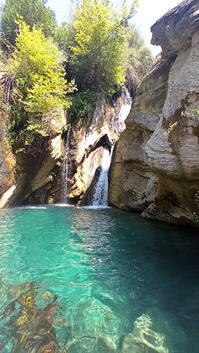 Roi Bogova