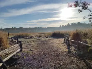 Strawberry Fields Off-Leash Dog Park