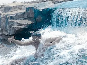 Kushiyara water fall ( कुशियरा फॉल)