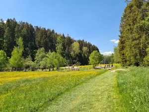 BarfussPark Hallwangen