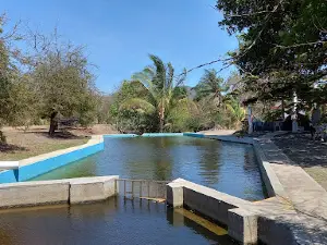 Pilas Garden
