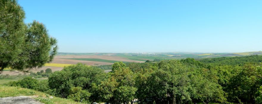 eseçe piknik alanı