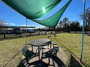 Spike's Dog Park