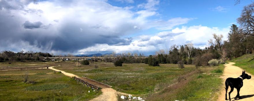 South Volonte Skateboard Park